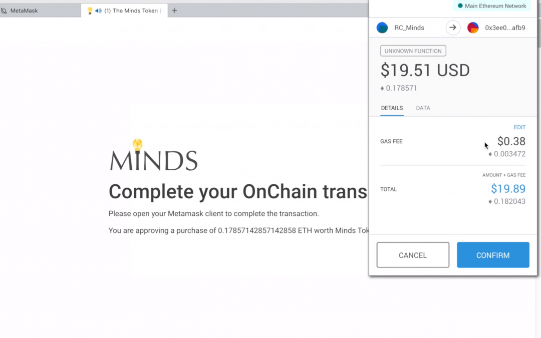 Minds.com Token Purchase Summary