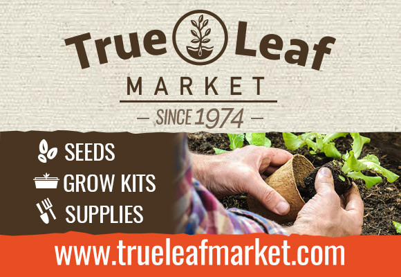Shop Your Trusted Non-GMO Seed Source Since 1974! Shop True Leaf Market!